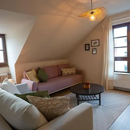 Grosse Schicke Altstadtlage Parkplatz Apartment