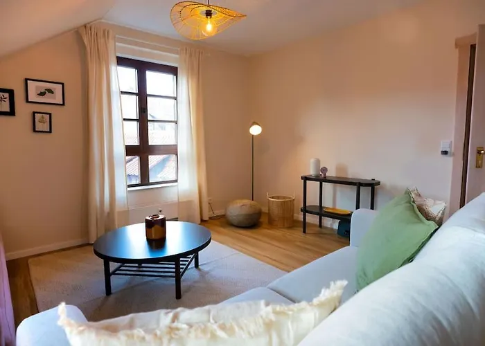 Grosse Schicke Altstadtlage Parkplatz 公寓 *